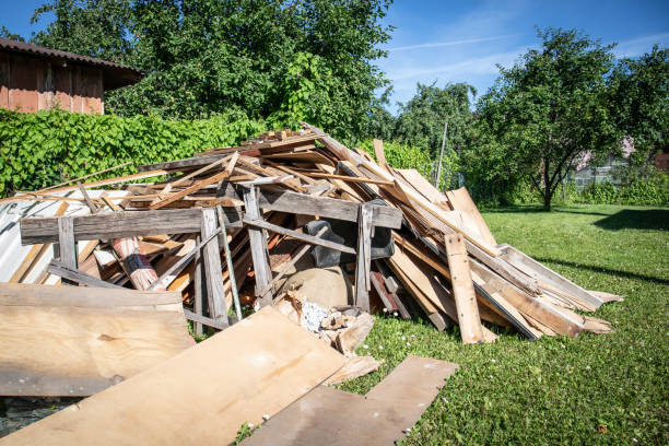 Best Shed Removal  in Davenport, IA